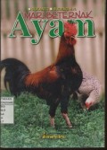 Mari Beternak Ayam