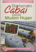 Bertanam Cabai Pada Musim Hujan