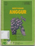 Bertanam Anggur