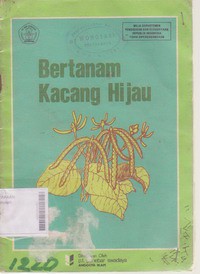 Bertanam Kacang Hijau