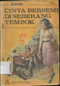 Cinta Bersemi Di Seberang Tembok