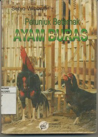 Petunjuk Beternak Ayam Buras